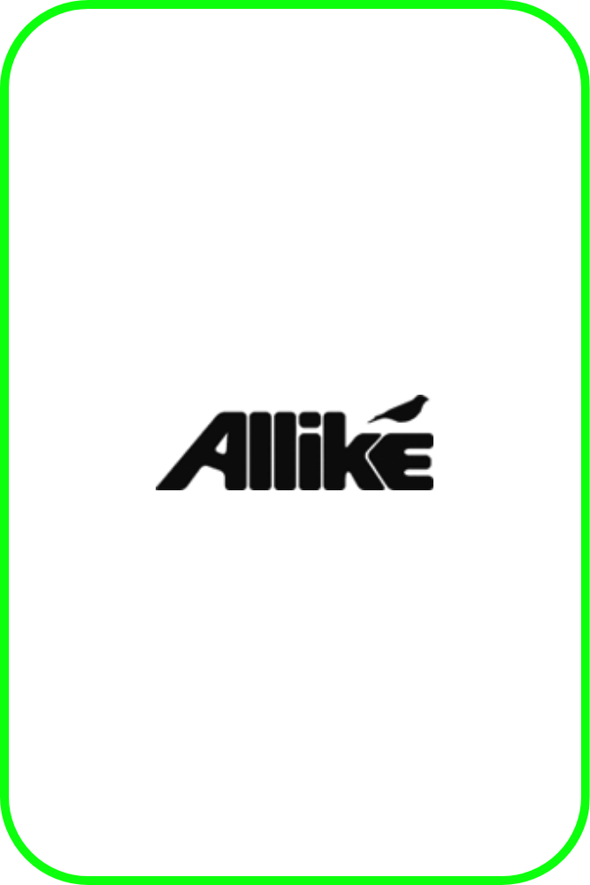 Allike-Sneaker-Store