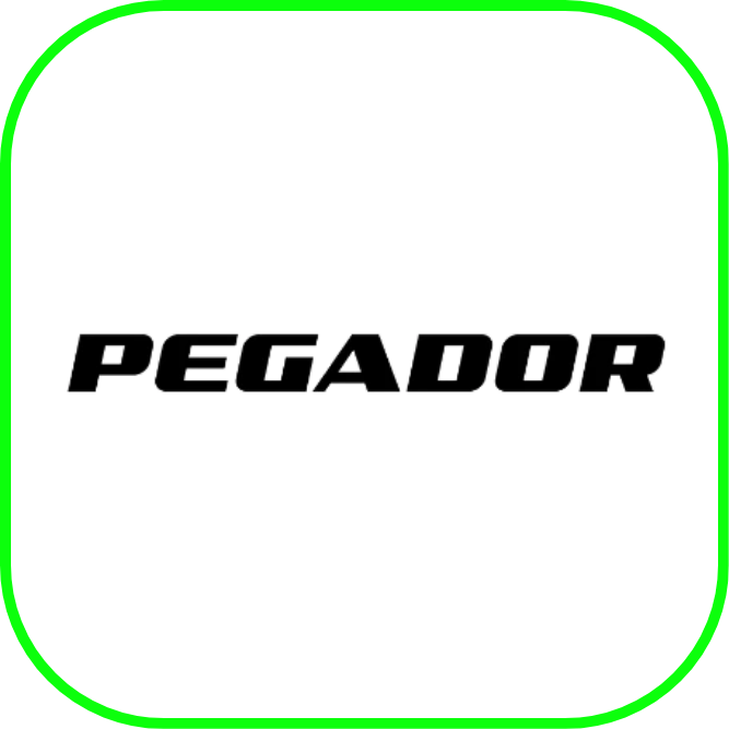 Pegador-fashion-pegador-online-shop